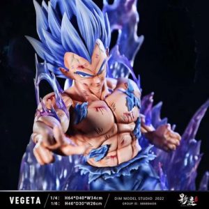 Dim Model Studio - Super Saiyan God Vegeta